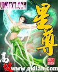 星尊封面