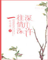 一往情深深几许封面