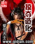 掠夺造化封面