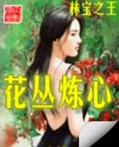 花丛炼心封面