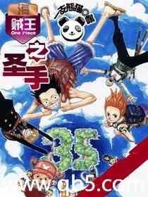 海贼王之圣手封面
