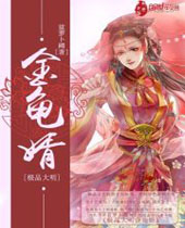 极品大明金龟婿封面