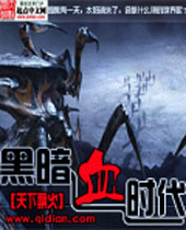 黑暗血时代封面