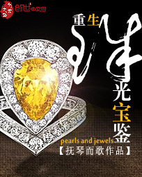 重生之珠光宝鉴封面