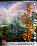异界寻宝之旅封面