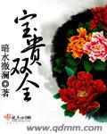 宝贵双全封面