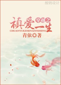 清穿之禛爱一生封面