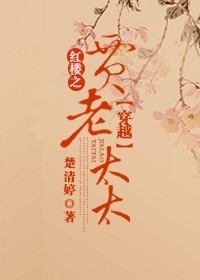 (红楼同人)穿越红楼之贾老太太封面
