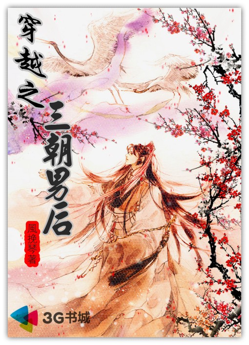 毁雨翼封面