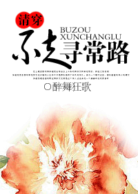 清穿之不走寻常路封面