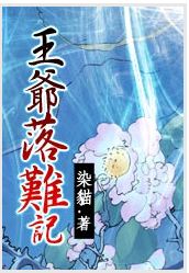 王爷落难记封面