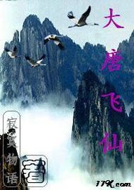 大唐飞仙封面