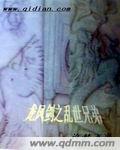 龙凤剑之乱世兄弟封面