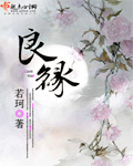 良缘封面