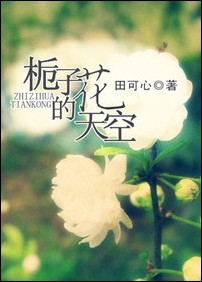 ���ӻ������