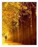 �����ص�Ϧ��