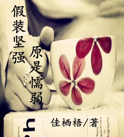 ��װ��ǿ,ԭ��ų��