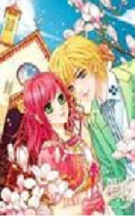 ����������֮��