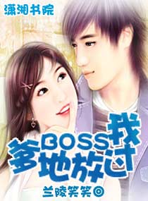 ����BOSS�Ź���