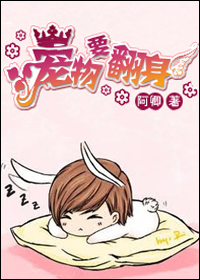 ����Ҫ����