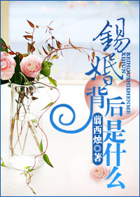 ���鱳����ʲô