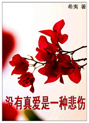 û���氮��һ�ֱ���