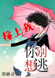 ײ����,�������