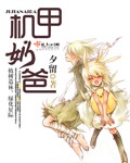 机甲奶爸封面