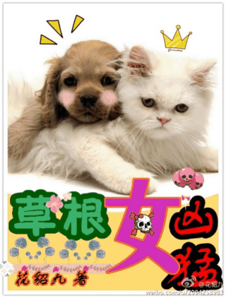 Ů��������