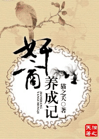 �������ɼ�