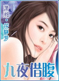 九夜借腹封面