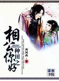 种田之相公你好封面