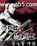 海贼王之海贼王封面