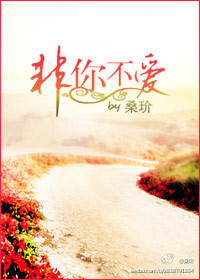 非你不爱封面