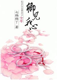 卿见我心封面